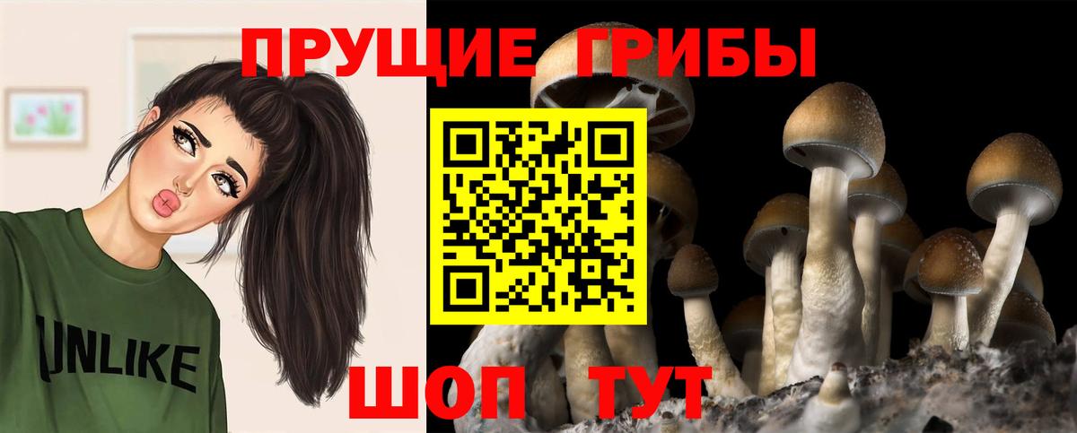 Псилоцибиновые грибы MAGIC MUSHROOMS  хочу   Галлюциногенные грибы Psilocybine cubensis  Томск  Вход с VPN 